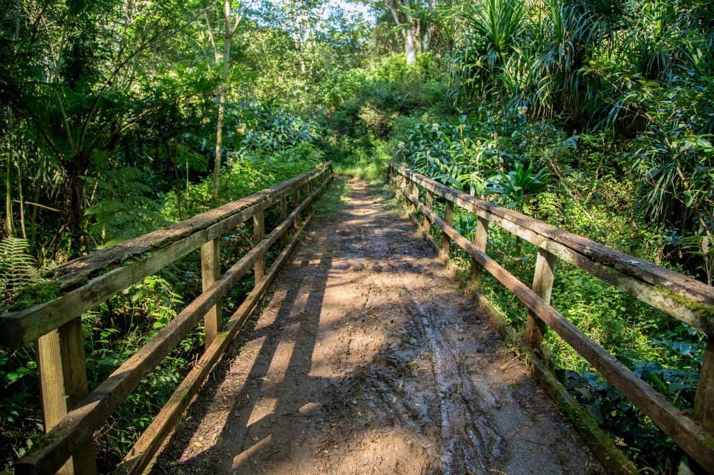 Jurassic Park Gate Posts