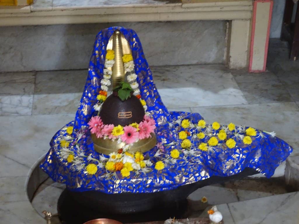 Panoramic City Views