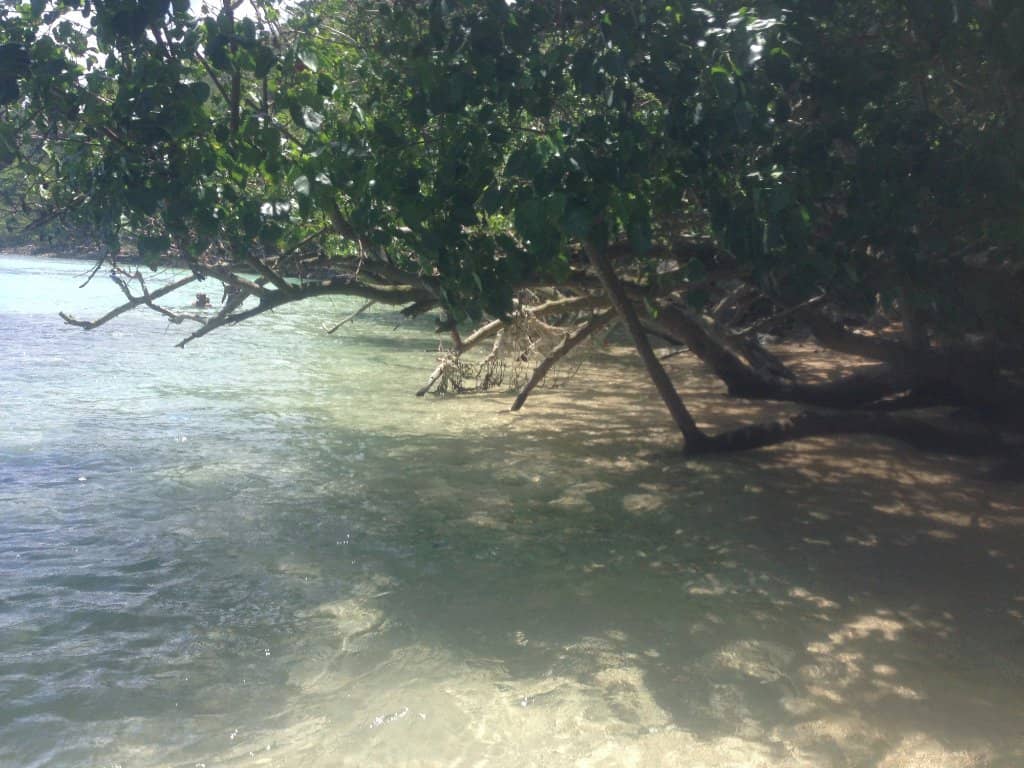 Dunn's River Falls Climb