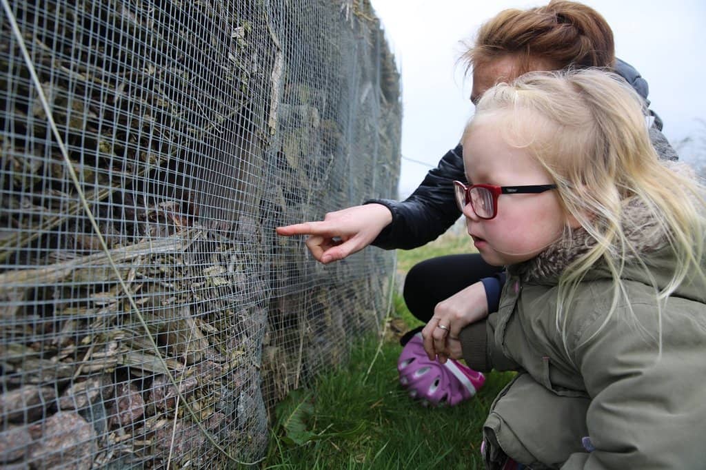 Historical Information Boards