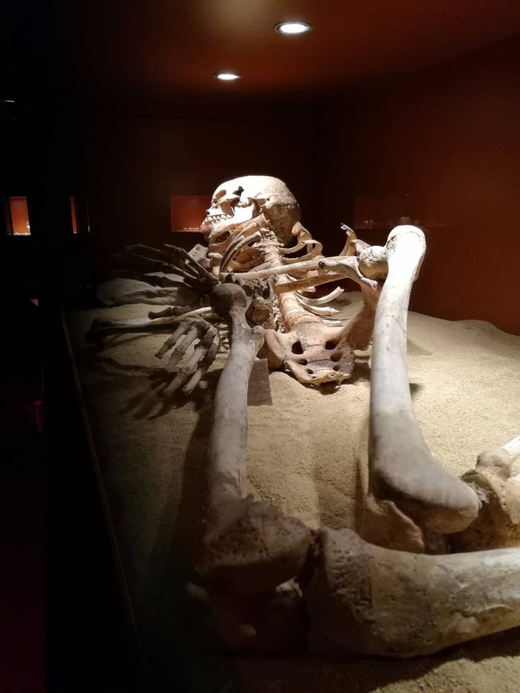 Interactive Family Game