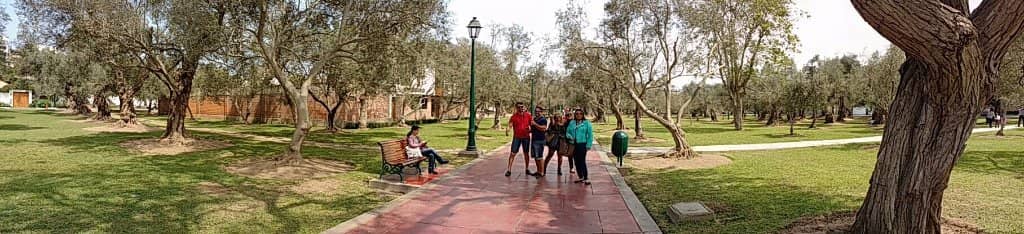 Parque El Olivar