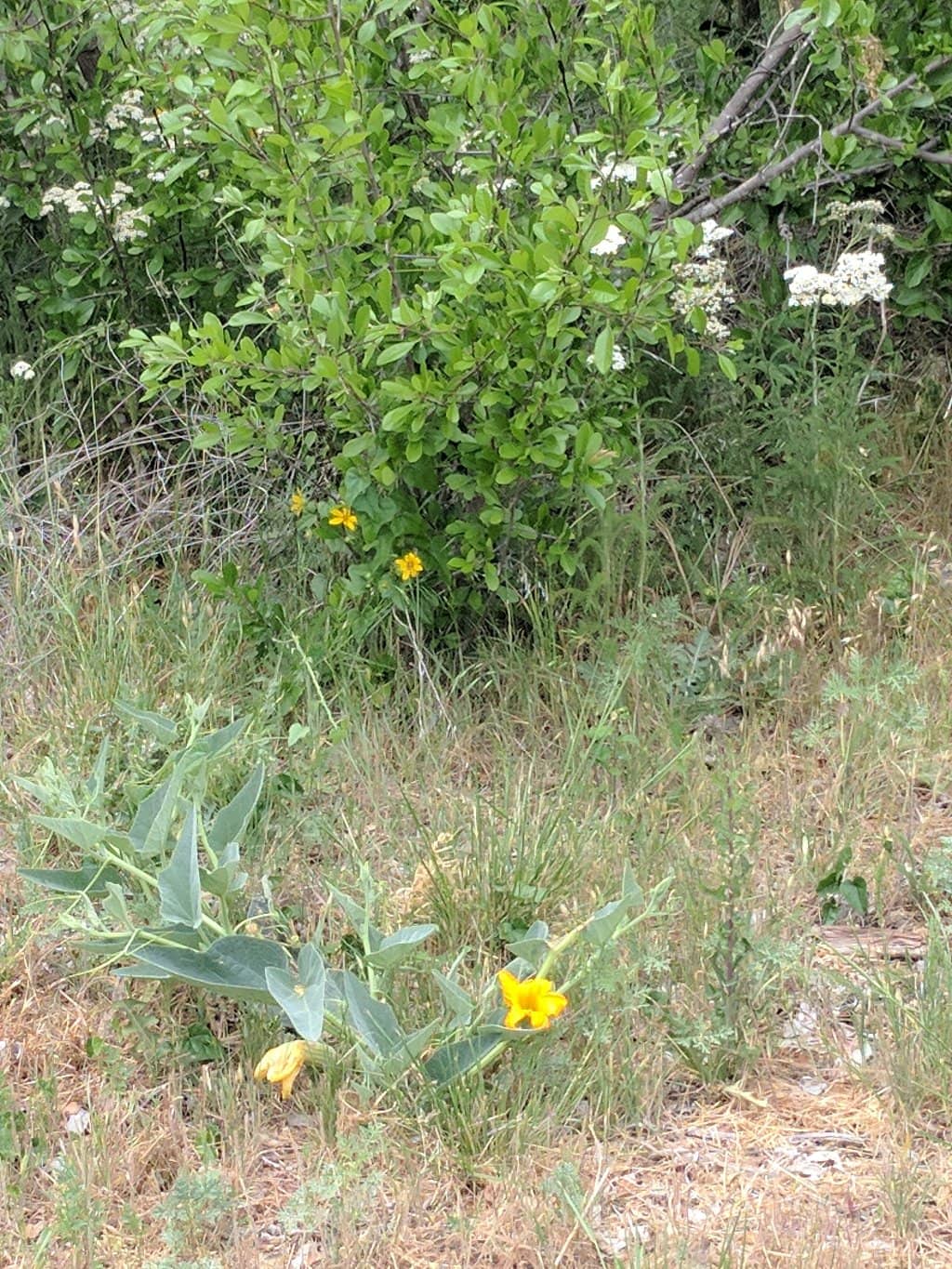 Abundant Wildlife Sightings