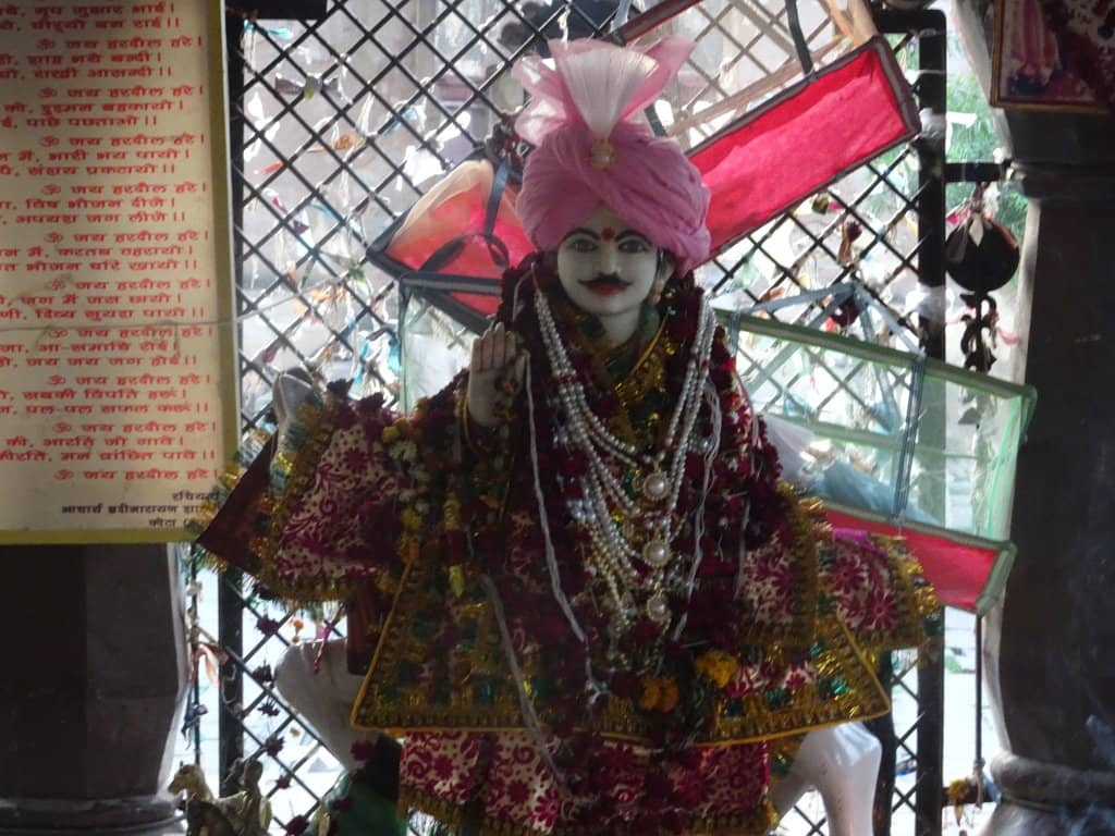 Serene Premises and Amenities