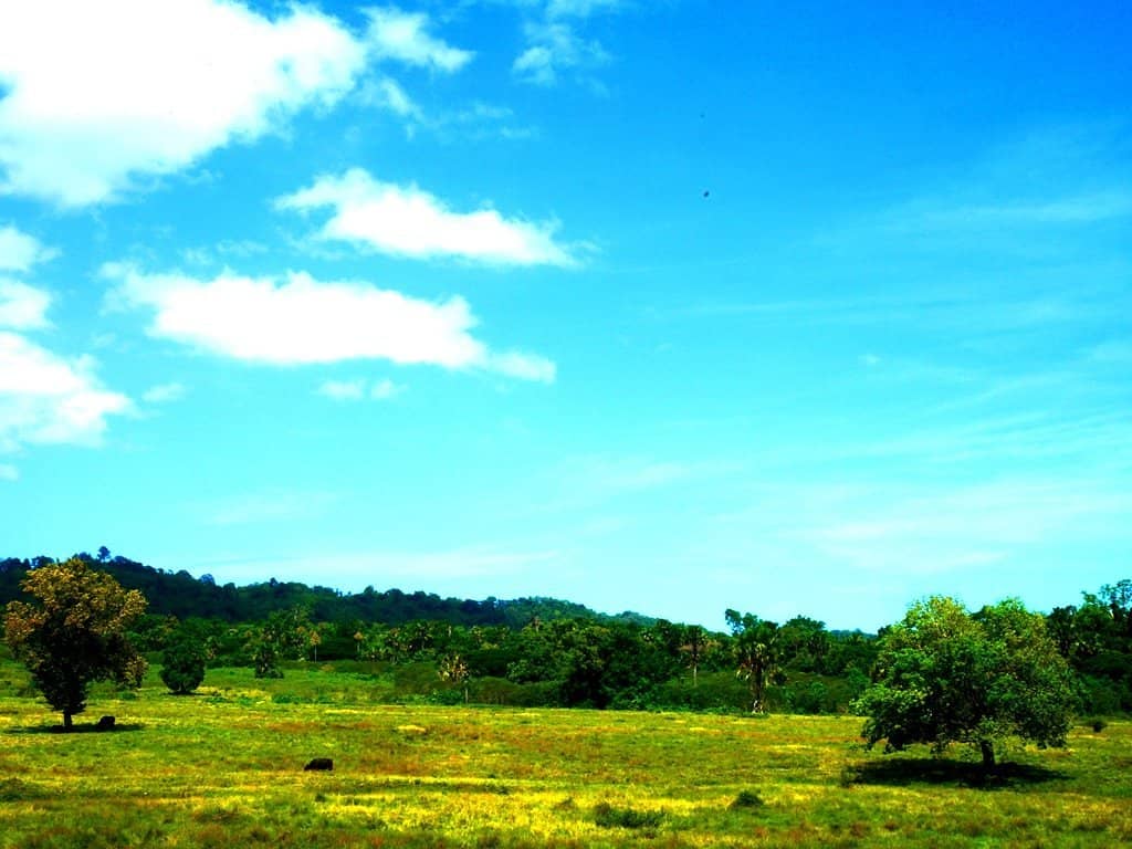 African-like Landscape