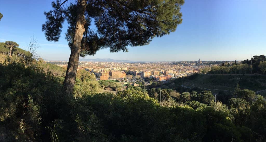 Panoramic City Views