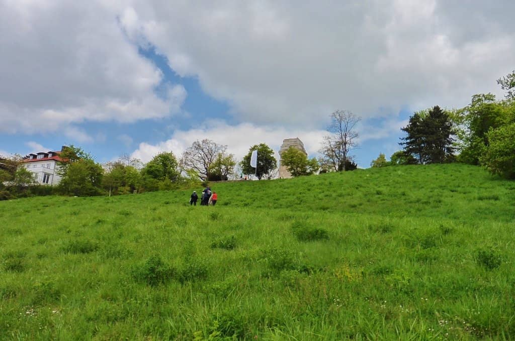 Peaceful Park & Gardens