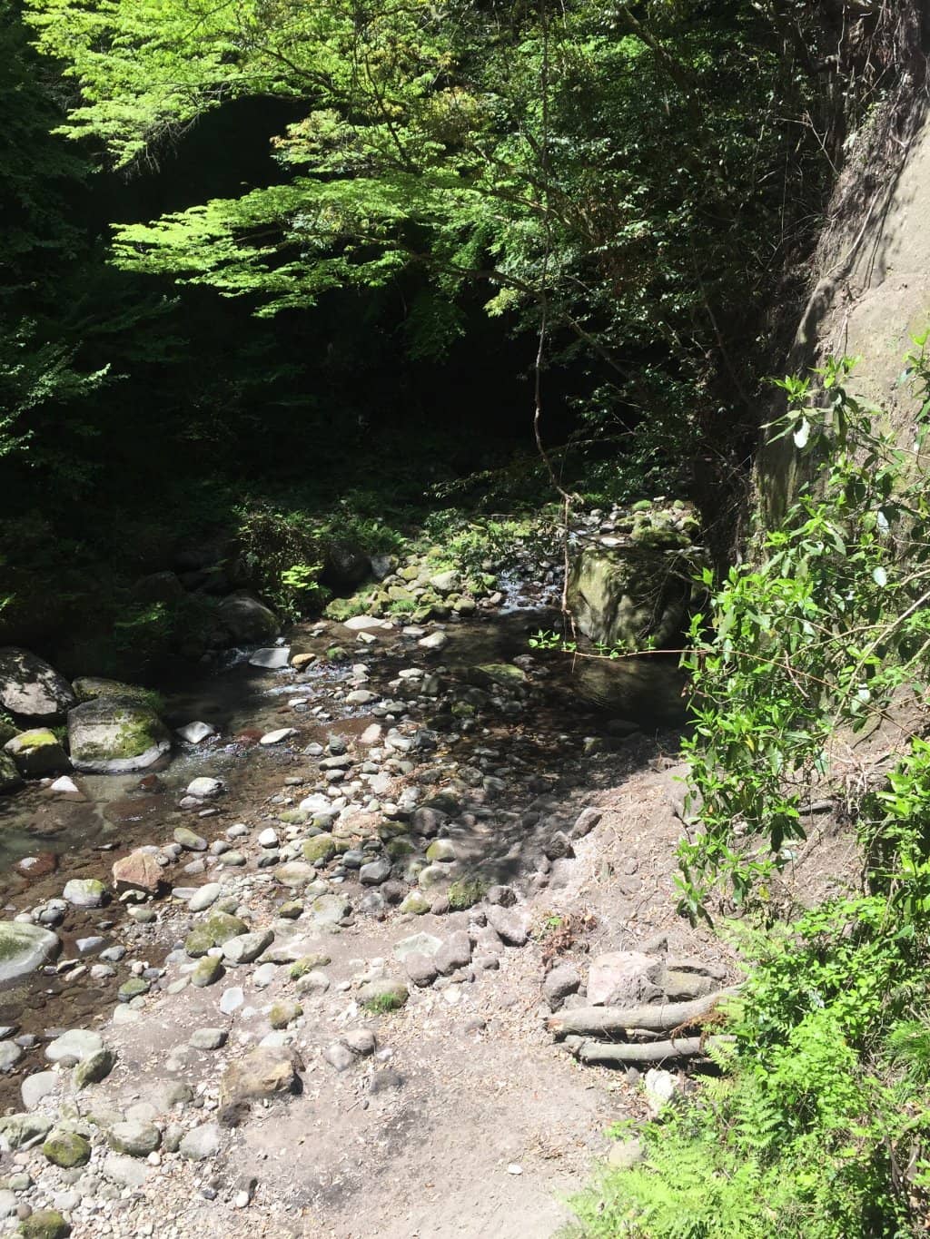 Steep Cliff Scenery