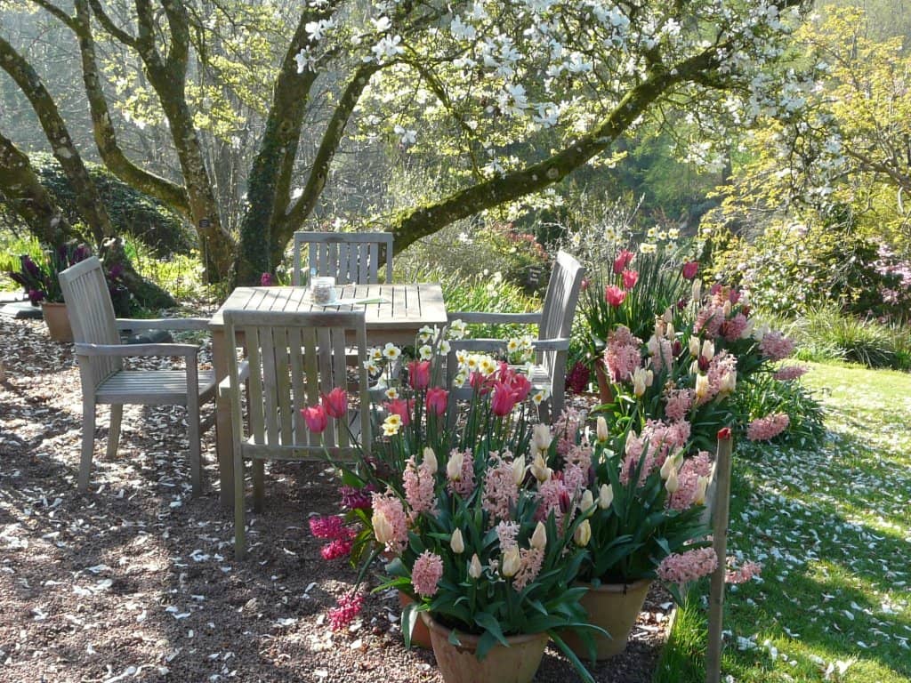 Charming Tea Room