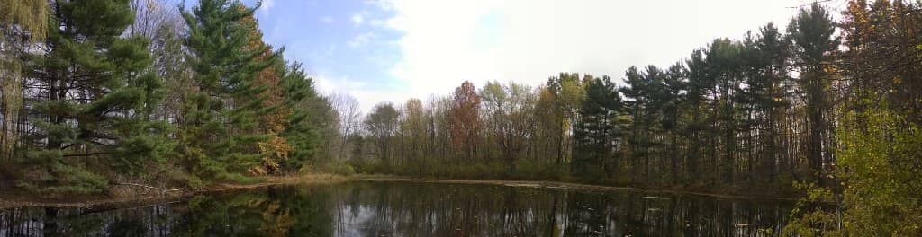 Vertical photo