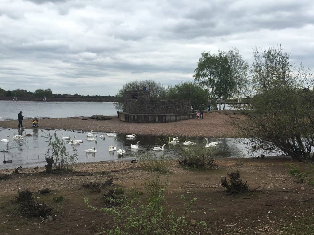 Chasewater Railway