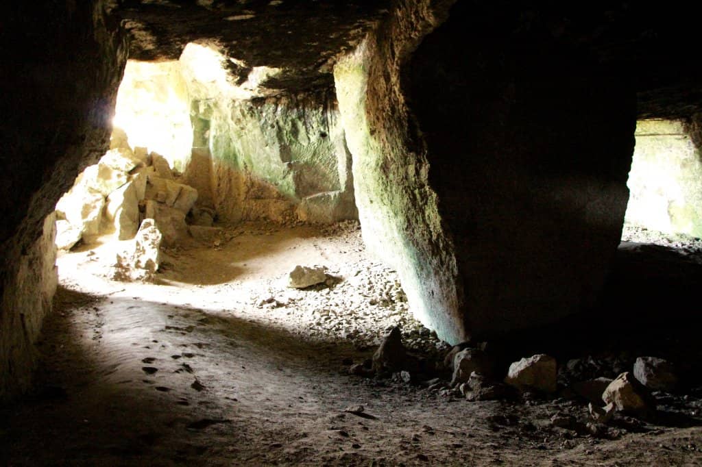 Pine Forest and Cliff Scenery