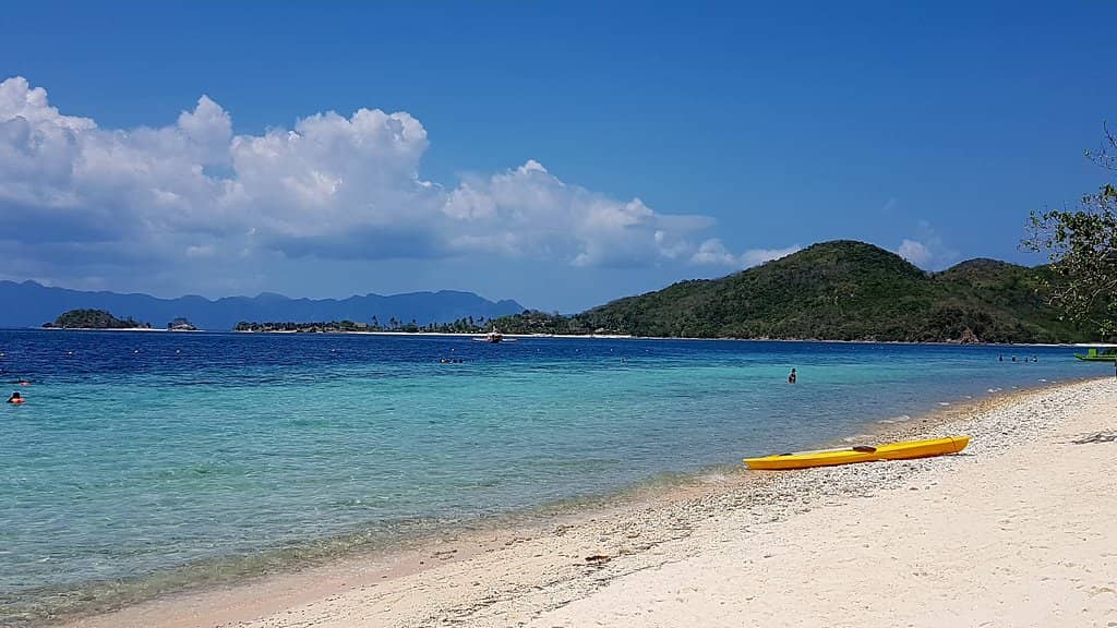 Local Produce Tasting