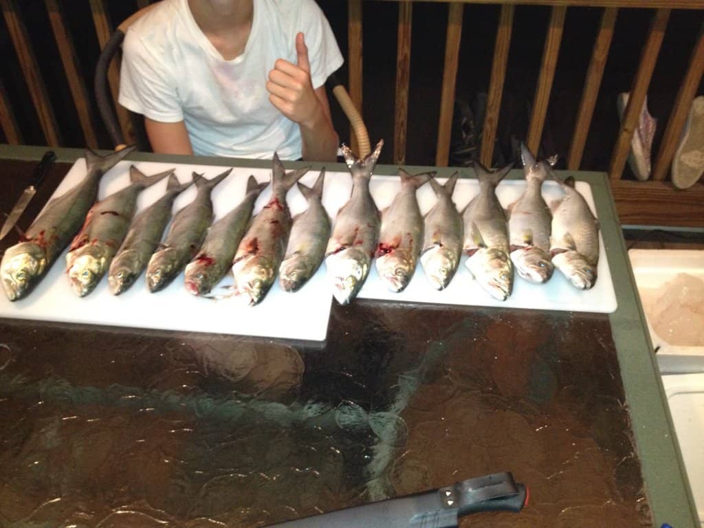 Ocean Views & Breezes