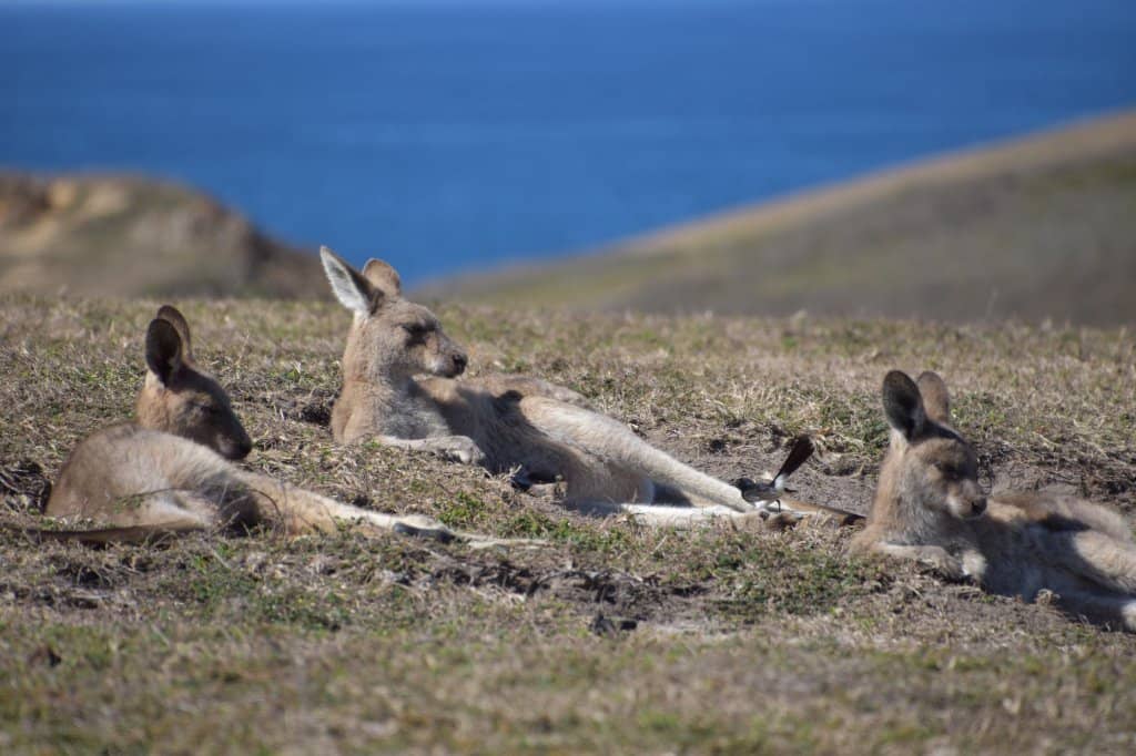 Sunrise over the Pacific