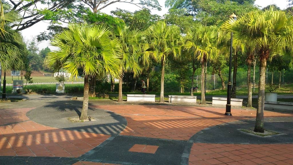 Jogging Trails