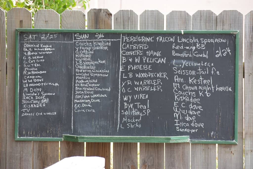 Wildlife Observation