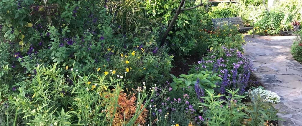 The Gardens' Diverse Collections