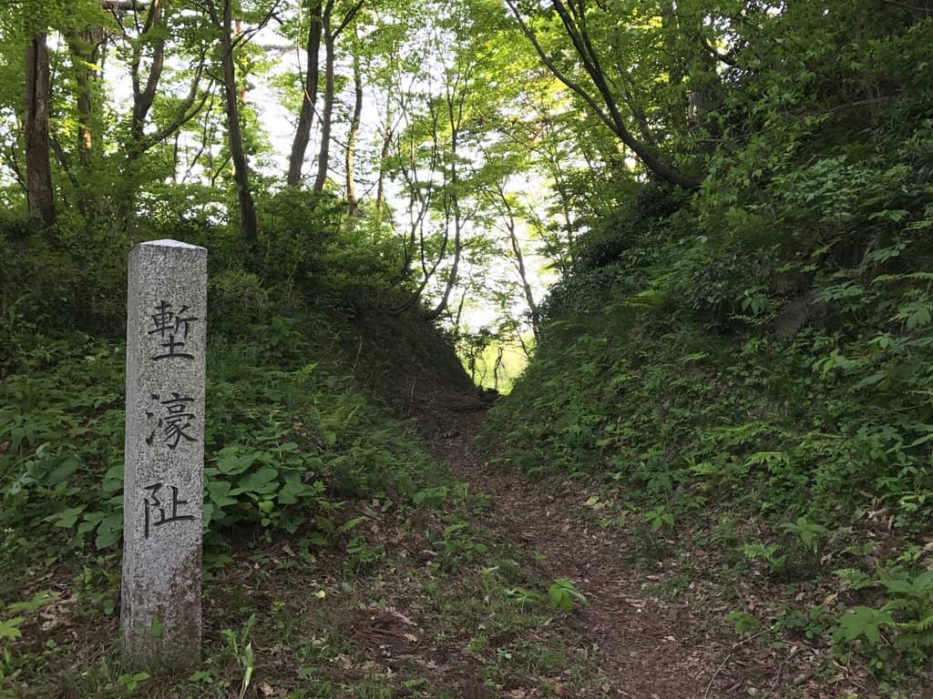 Vertical photo