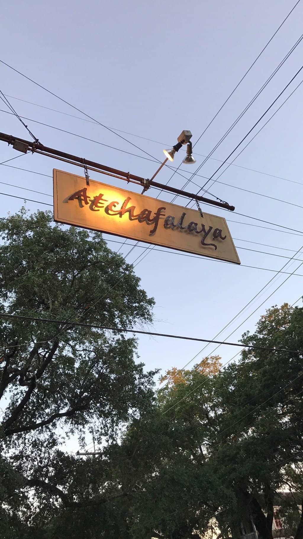 Warm and Welcoming Ambiance