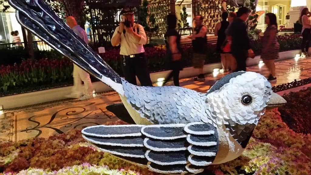 Intimate Art Experience