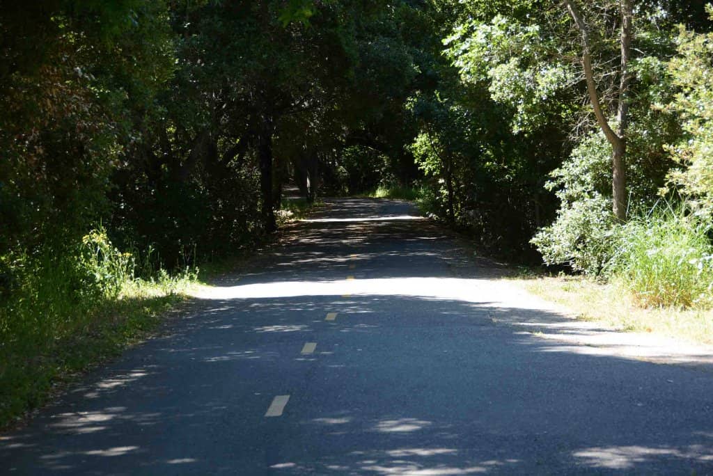 Urban Bikeway Exploration