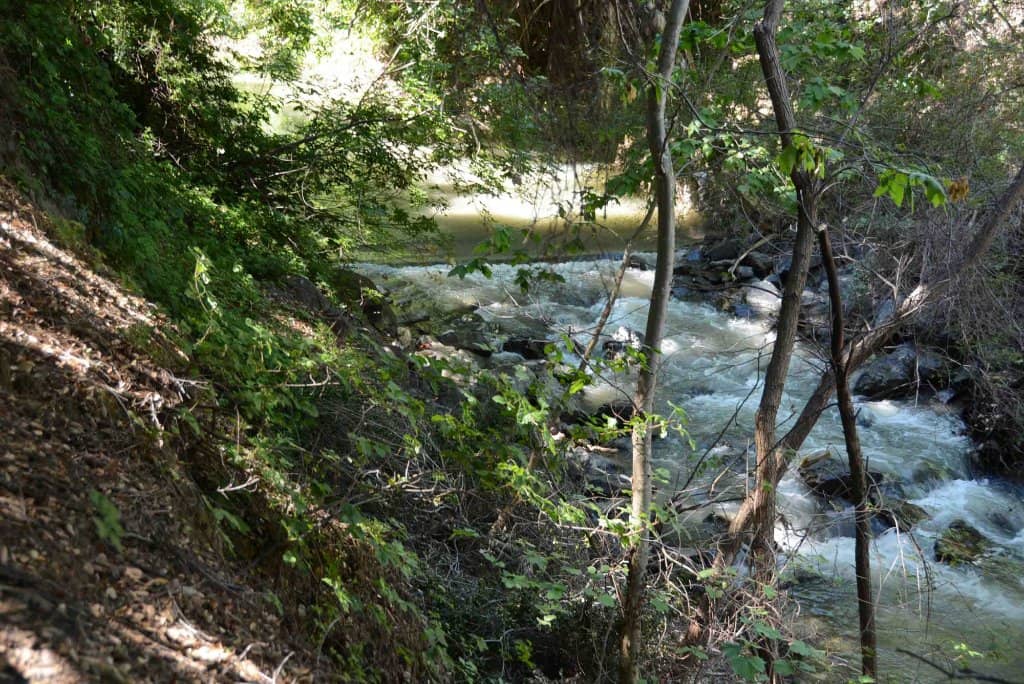 New Pedestrian Bridges