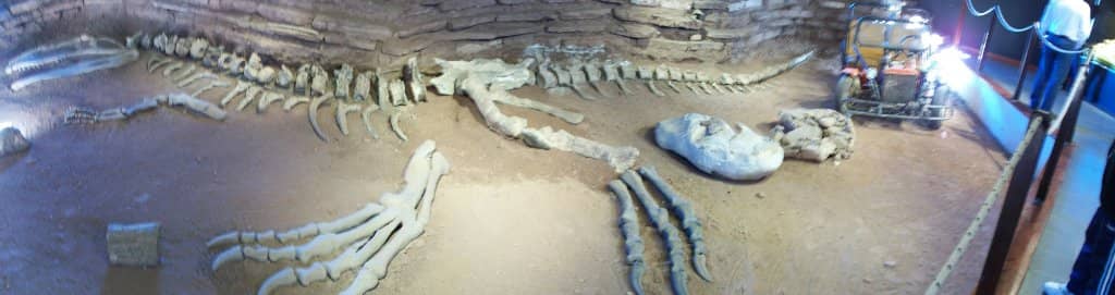 Cañadón del Cocodrilo