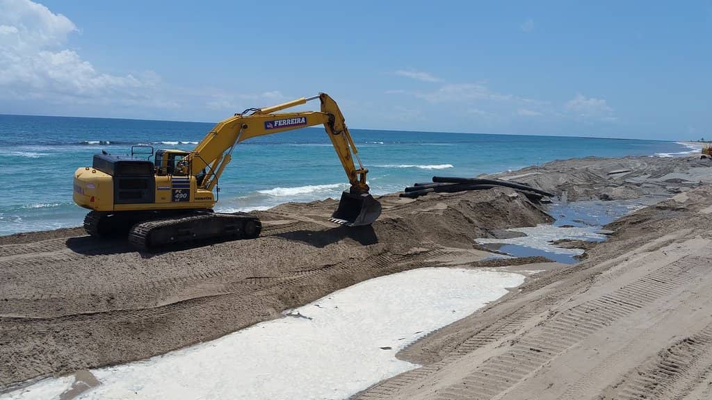 Abundant Seashells & Marine Life