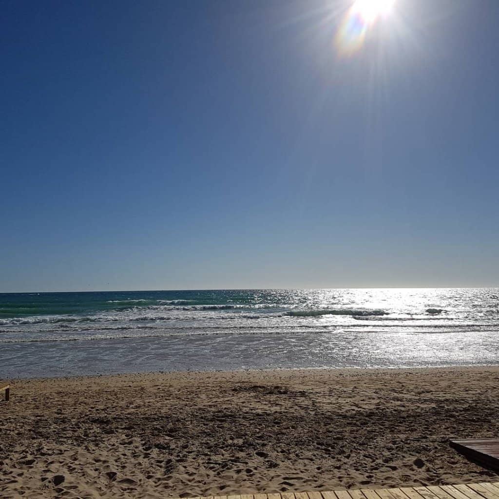 Calm Waters for Swimming