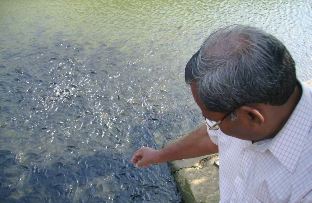 Gopi Talav Sacred Pond