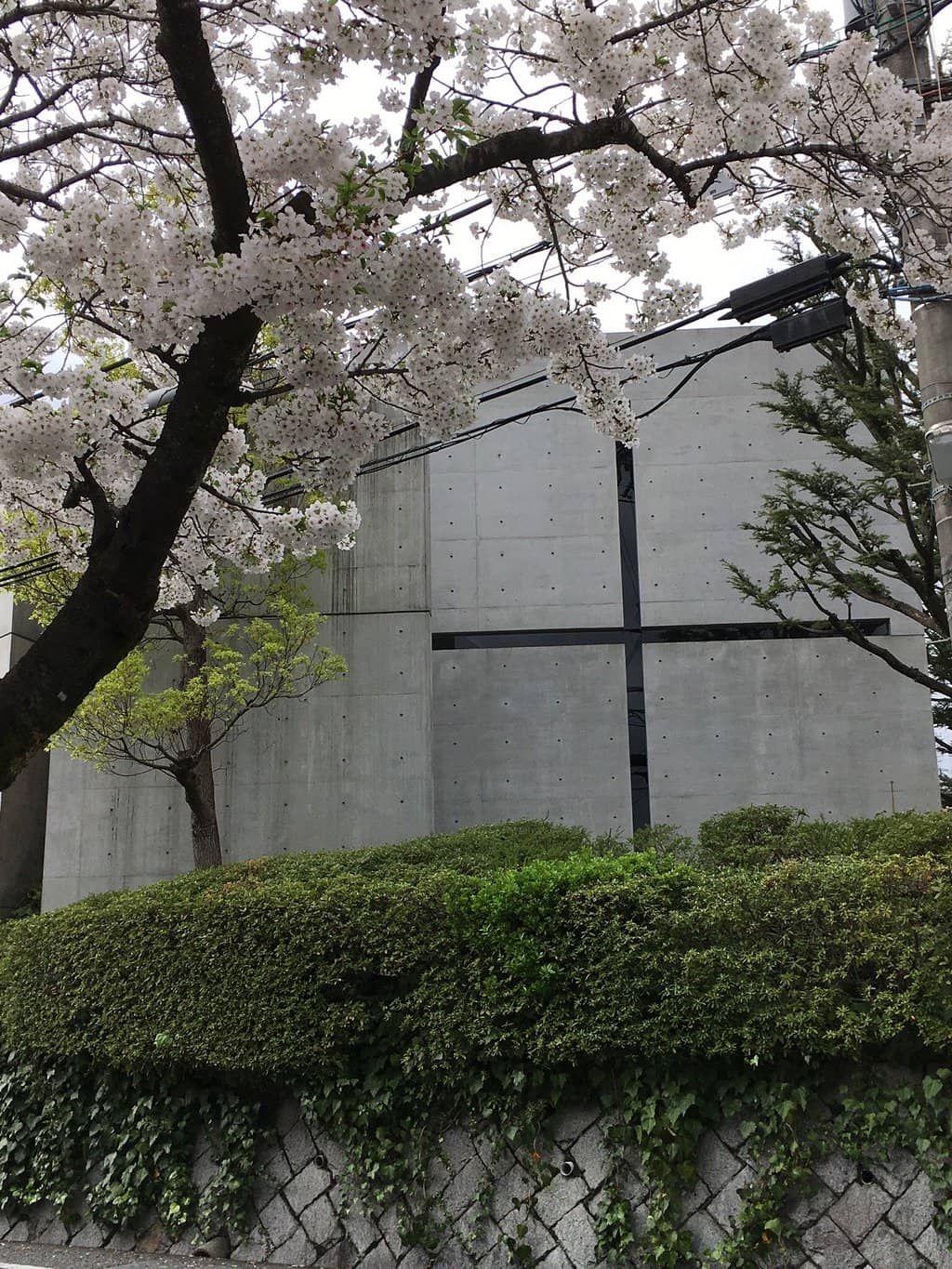 Vertical photo