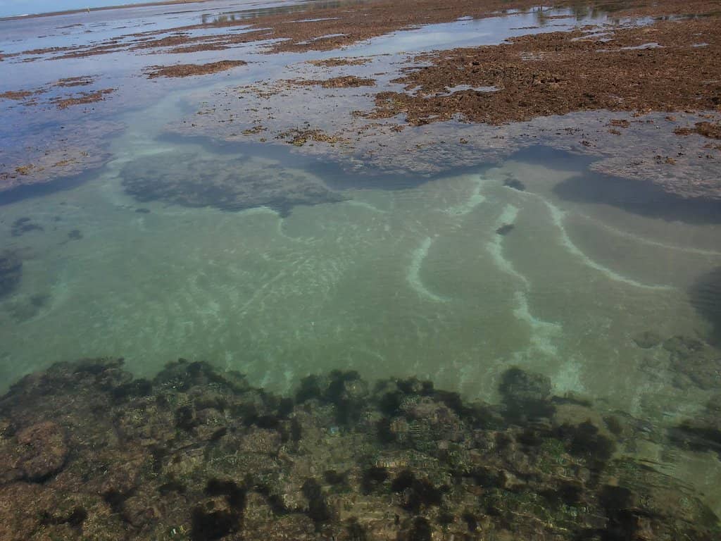 Proximity to Calhetas