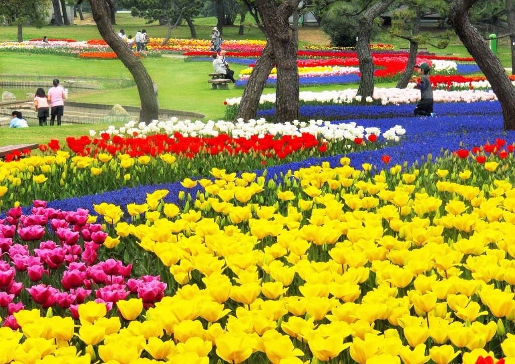 Flower Hill & Gardens