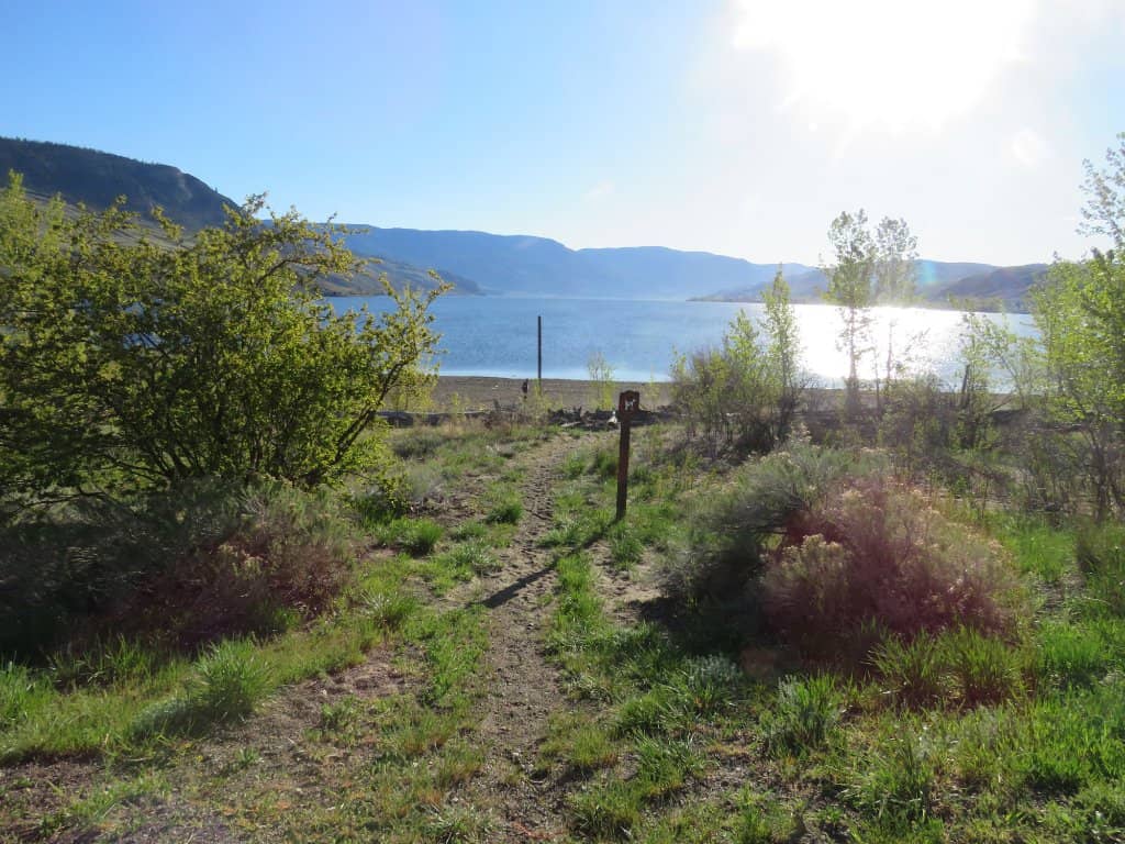 Kayaking and SUP Launch