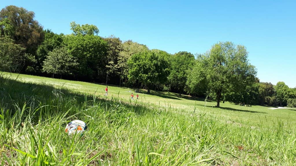 Vast Green Spaces