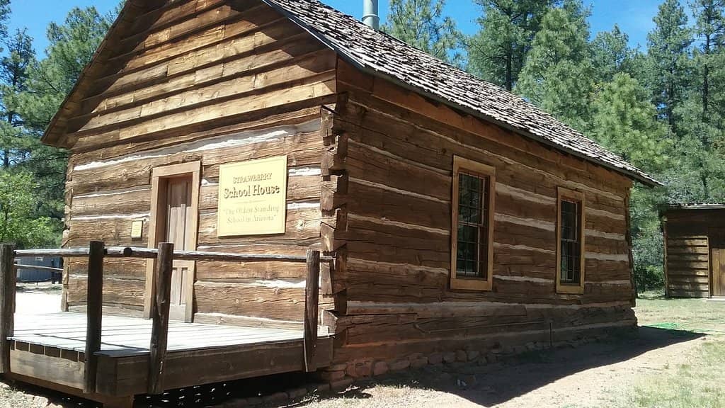 Volunteer Preservation