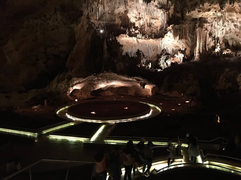 Iguana Exhibits