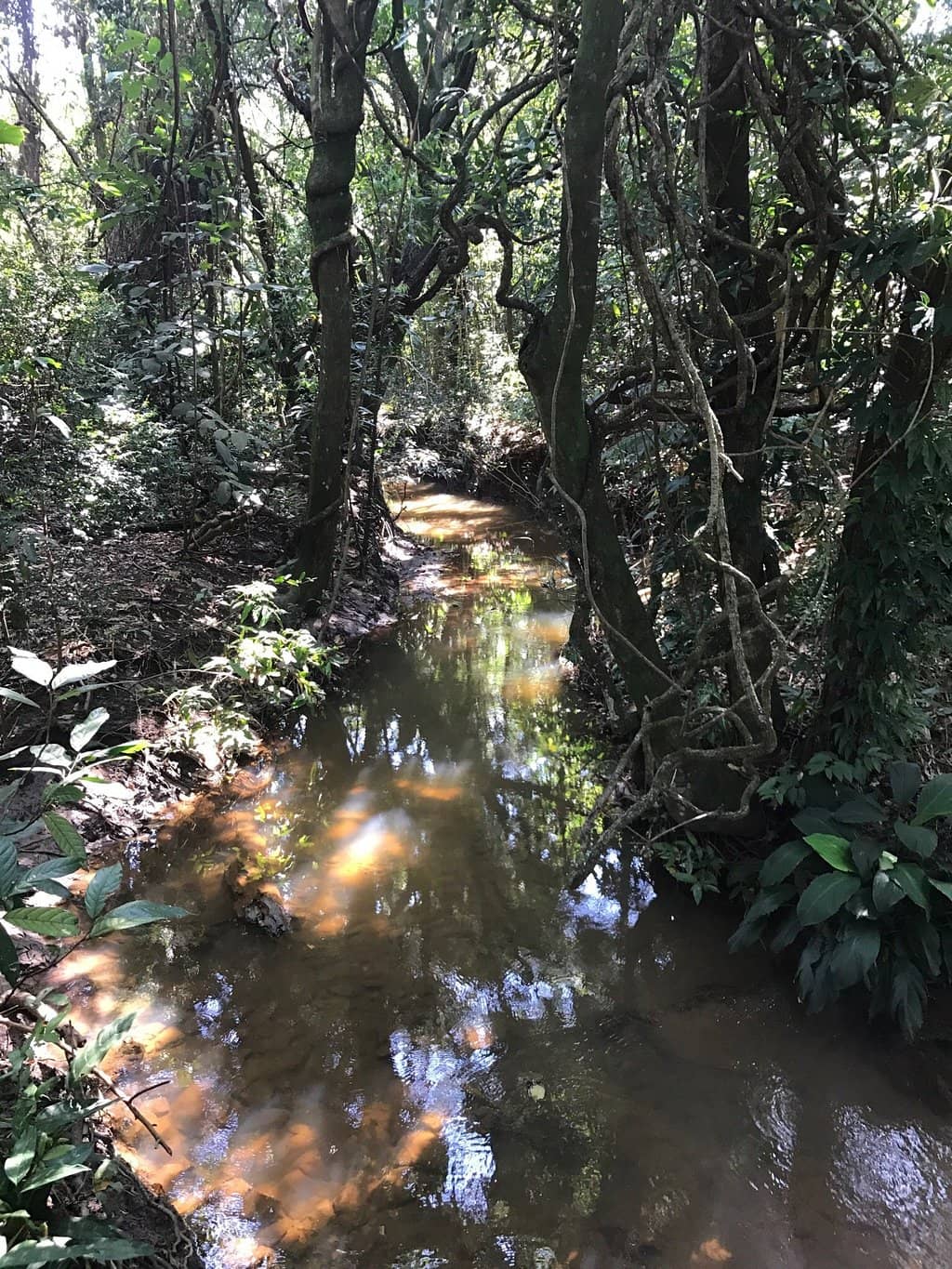 Nature Trails