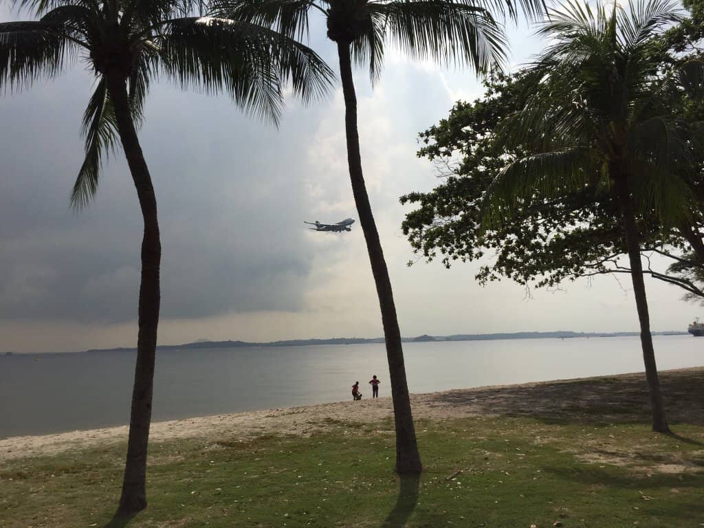 Tranquil Beach Strolls