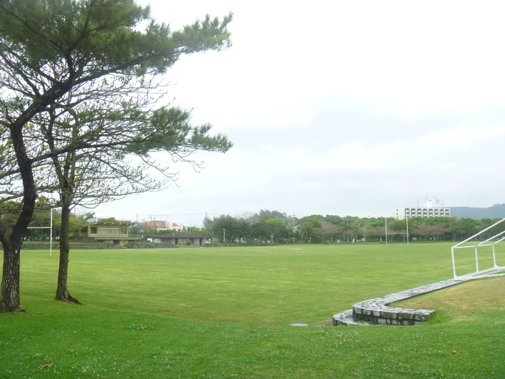 Cherry Blossom Viewing