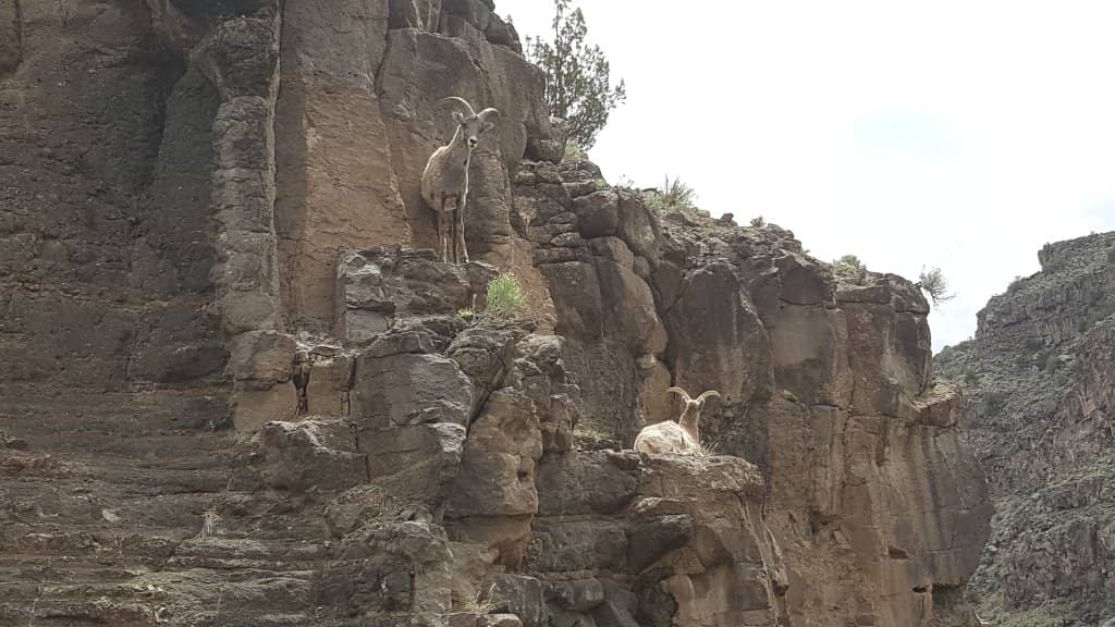 Natural Hot Spring Pools