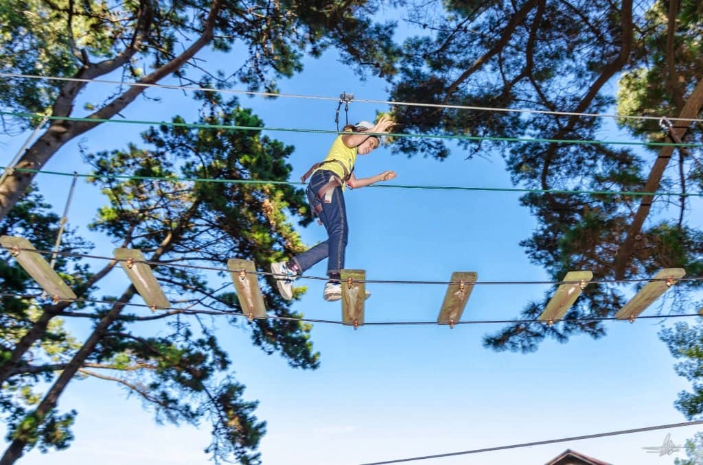 Tarzan Swings