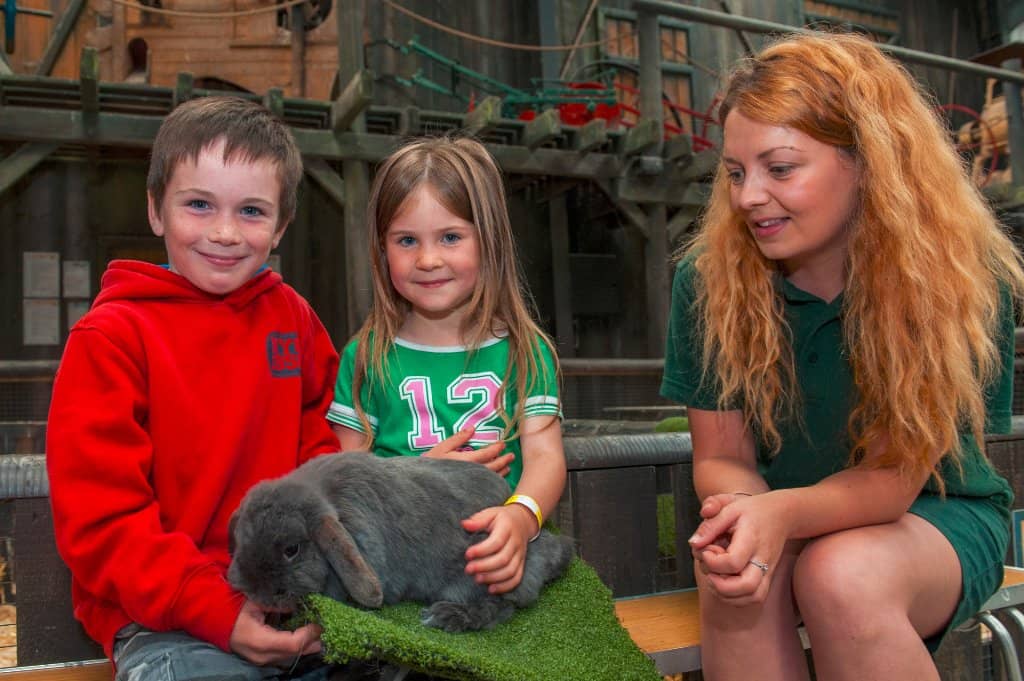 Farmyard Friends