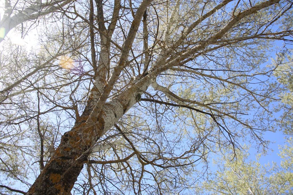 Vertical photo