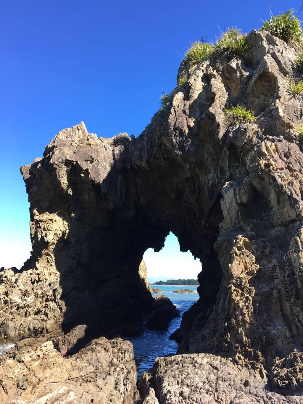 Vertical photo