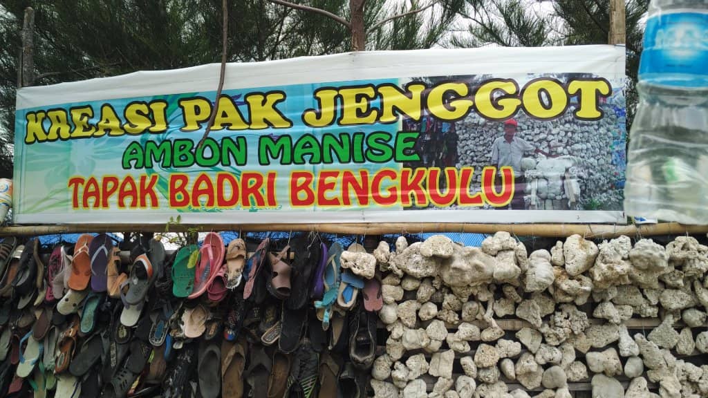 Beginner-Friendly Surfing