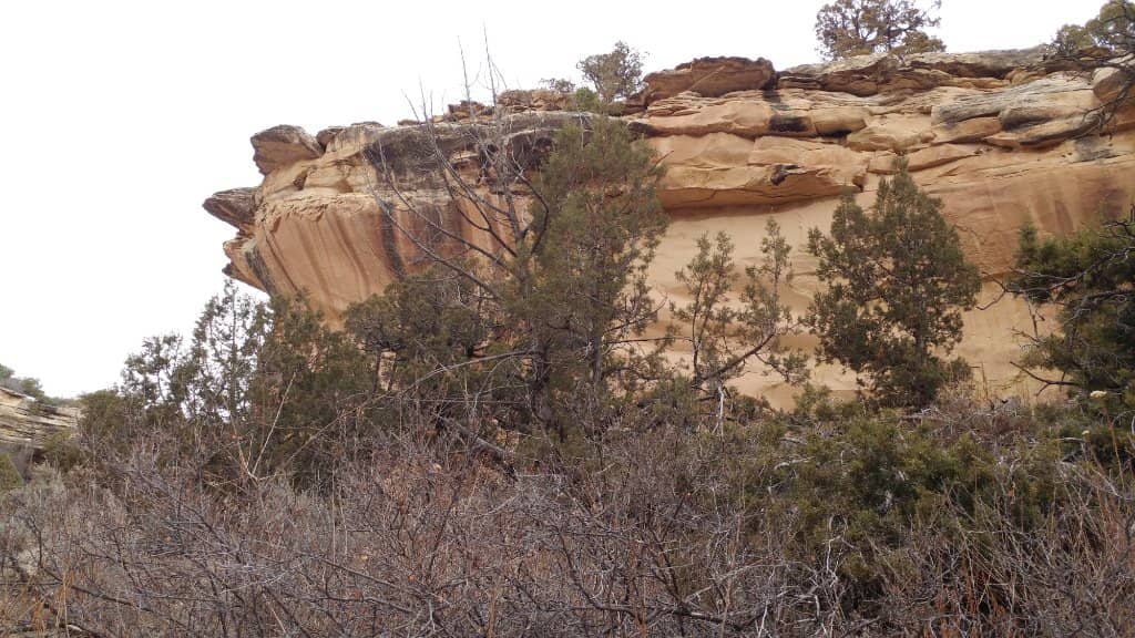 Vertical photo