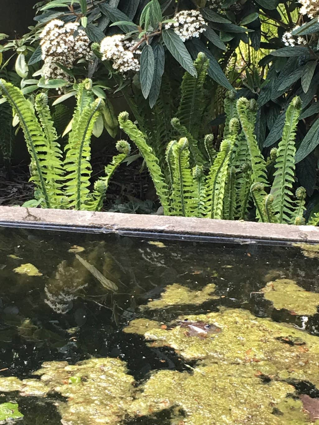 Impressive Mausoleums