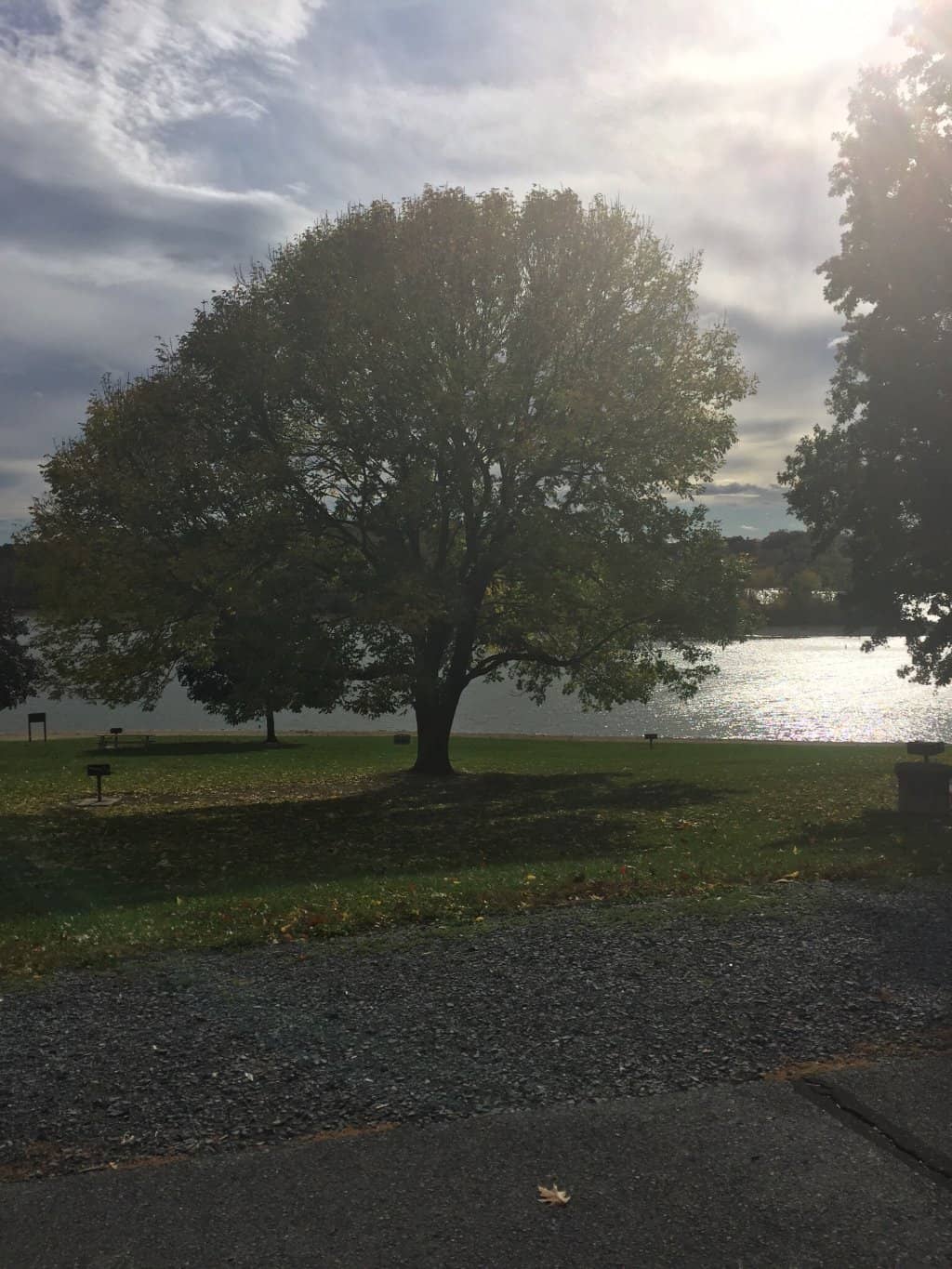 Fishing Opportunities